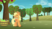 Applejack catches Rainbow Dash off-screen S8E5