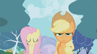 First Twilight, now Fluttershy? What's a pony gotta do for some peace?