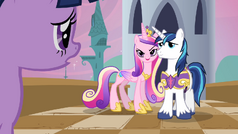 Cadance being possessive of Shining Armor S2E25.png