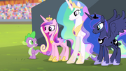 Cadance thanking Spike S4E24