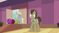 Derpy "I'll use them for the wedding!" S5E9