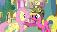 Fluttershy rents hot air balloon S03E13