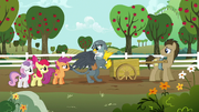 Gabby I just stopped to help this pony S6E19