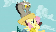 Discord czochra Fluttershy po grzywie.