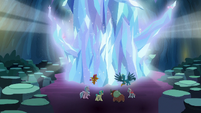 Giant mass of crystal grows before Young Six S9E3