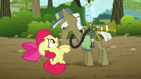Pest pony looks at Apple Bloom S5E04