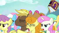 Ponies continue arguing over each other S7E14