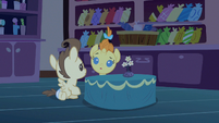 Pound & Pumpkin Cake watch what S2E13