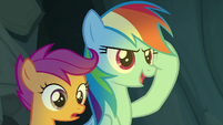 Rainbow Dash "you can out-think them" S7E16