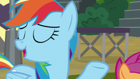 Rainbow Dash introduces herself S8E20