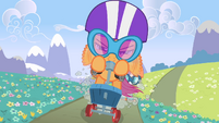 Scootaloo riding on a road S4E05