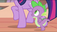 Spike 'aren't you missing somepony' S2E02
