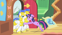 Twilight gets rid of the guards.