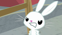 Angel Bunny growling at Fluttershy S9E18