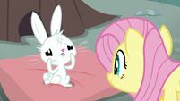 Fluttershy looking remorsefully at Angel S9E18