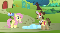 Globe Trotter asking Fluttershy for directions S2E19