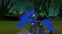 Princess of the night (and vampire ponies).