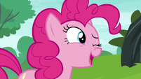 Pinkie Pie "there are real swans here" S6E3