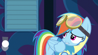 Rainbow Dash no going back S3E7