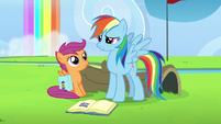 Rainbow resolves to fix her mistake S7E7