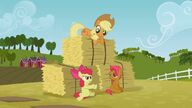 S03E08 Apple Bloom ma pretensje do siostry