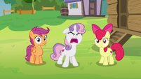 Sweetie Belle shouting at Rumble S7E21