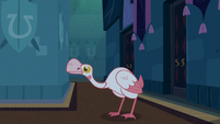 Alarm goose looks around the corner S9E17