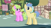The Mysterious Mare Do Well