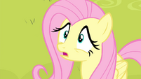 Fluttershy 'Why not' S4E14