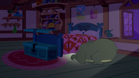 Harry the bear looking under Fluttershy's bed S5E21