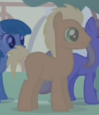 Meadow Song without cutie mark S1E06.png