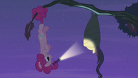Pinkie Pie and Fluttershy hanging upside-down S4E07