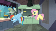 Rainbow and Fluttershy behind the burger stand S4E22