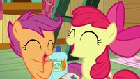 Scootaloo and Apple Bloom laugh at Sweetie S9E22