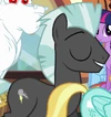 Thunderlane Earth pony ID S4E10