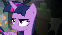 Twilight Sparkle hears Fluttershy squeak S7E20