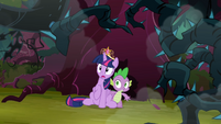 Twilight and Spike in front of the tree S4E02