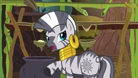 Zecora "there are tales I could tell" S7E19.png (966 KB)