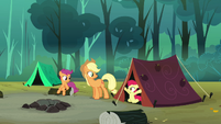 Applejack's and Apple Bloom's tent is set up S3E06