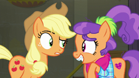 Applejack "uh, fabric?" S6E9