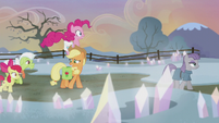 Applejack impressed by rock farm's appearance S5E20