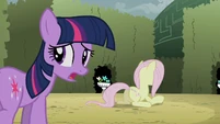 "This awful labyrinth is getting to every pony."