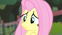 Fluttershy's scrunchy face.