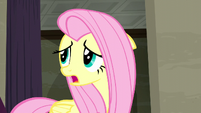 Fluttershy wonders what Rarity would want S6E9