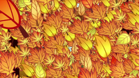 Leaves falling transition S05E05