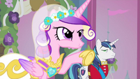 Shining Armor standing around like nothing threatening is happening.