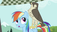 Rainbow Dash with the falcon S2E07