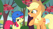 S04E17 Apple Bloom w kasku