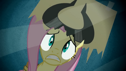 Scared Fluttershy 2 S2E19