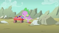 Spike sniffing those yummy gems.